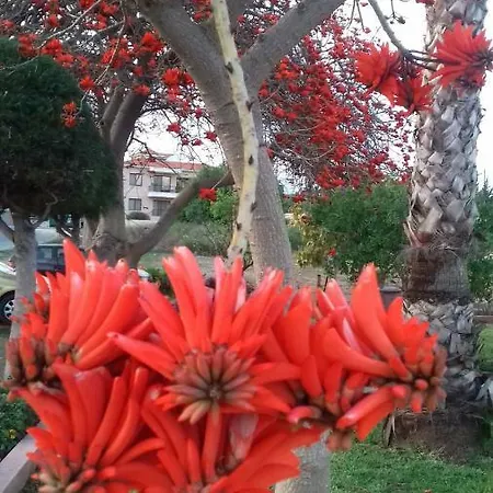Summer Garden Apartment Pissouri