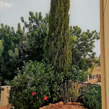 Summer Garden Pissouri